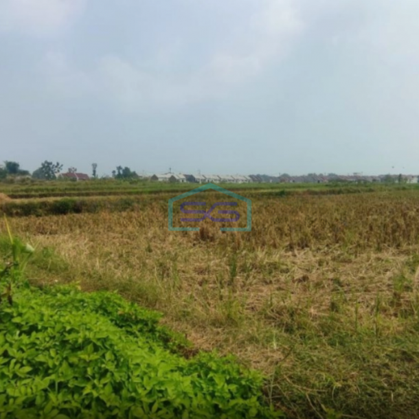 Dijual Lahan Tanah Industri Mojosari Kutorejo Mojokerto Jawa Timur Luas Tanah 70000m2-2