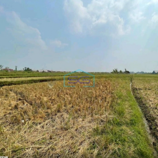 Dijual Tanah Lokasi Mojosari Mojokerto Jawa Timur Harga Nego Luas 20000m2-4
