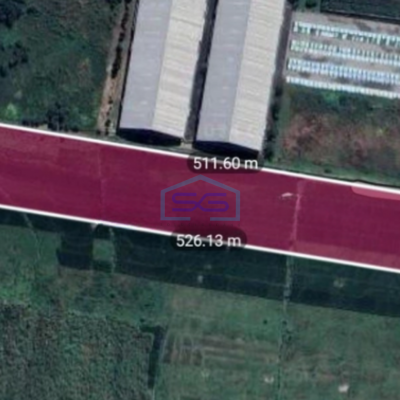 Dijual Tanah Lokasi Mojosari Mojokerto Jawa Timur Harga Nego Luas 20000m2