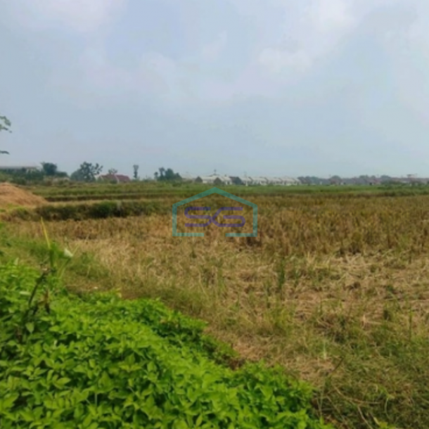 Dijual Tanah Lokasi Mojosari Mojokerto Jawa Timur Harga Nego Luas 20000m2-2