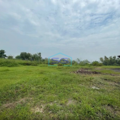 Dijual Gudang Murah Ngoro Mojokerto Jawa Timur Luas Tanah 42522m2 Harga Nego