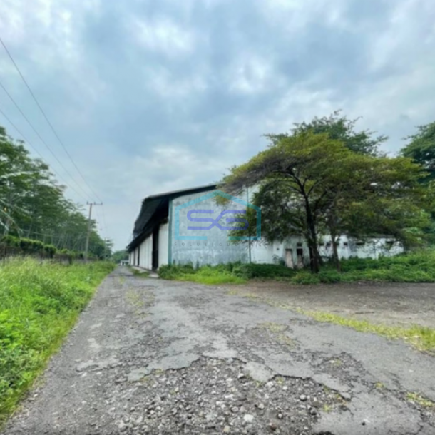 Dijual Tanah Plus Gudang di Ngoro Mojokerto Jawa Timur Luas Tanah 42522m2-3
