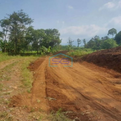 Dijual Tanah Uruk Daerah Gunting Sukorejo Pasuruan Jawa Timur LT 70 Hektar
