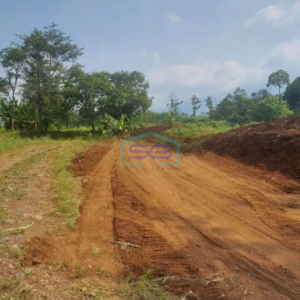Dijual Tanah Uruk Daerah Gunting Sukorejo Pasuruan Jawa Timur LT 70 Hektar-1