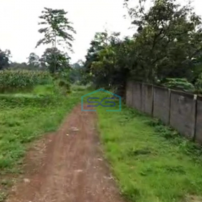 Dijual Tanah Uruk Daerah Gunting Sukorejo Pasuruan Jawa Timur LT 70 Hektar