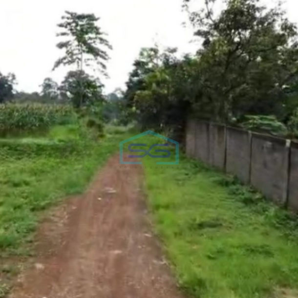 Dijual Tanah Uruk Daerah Gunting Sukorejo Pasuruan Jawa Timur LT 70 Hektar-2