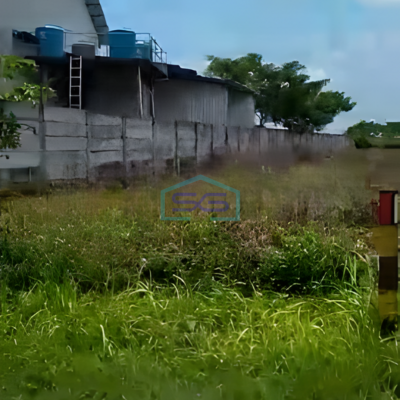 Dijual Tanah Property di Jalan Provinsi Tuban Widang Jawa Timur Luas 40000m2