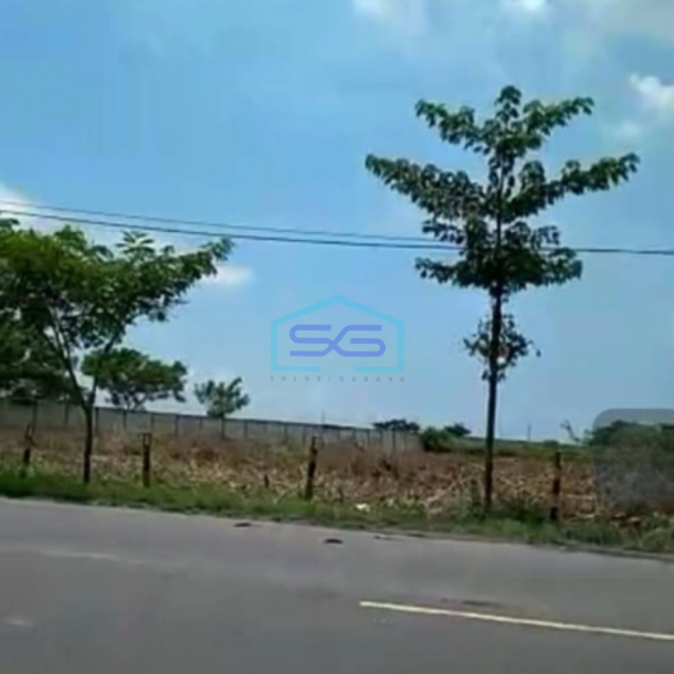 Dijual Tanah Property di Jalan Provinsi Tuban Widang Jawa Timur Luas 40000m2-1