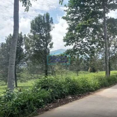 Di Jual Tanah Di Daerah Puncak Puncak, Bogor Luas Tanah  12000 m²