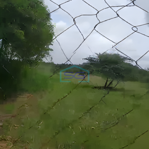 Disewakan Tanah Luas 4 Hektar Di Area Industri Gunung Sindur Bogor-1