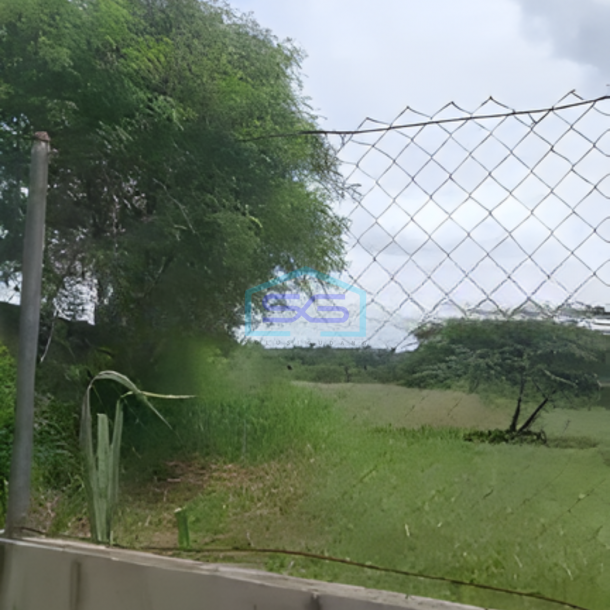 Disewakan Tanah Luas 4 Hektar Di Area Industri Gunung Sindur Bogor-3