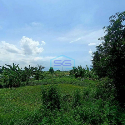 Dijual Tanah Murah di Kawasan Industri Jl Raya Jabon Sidoarjo Cocok Untuk Pabrik Besar LT 28000m2