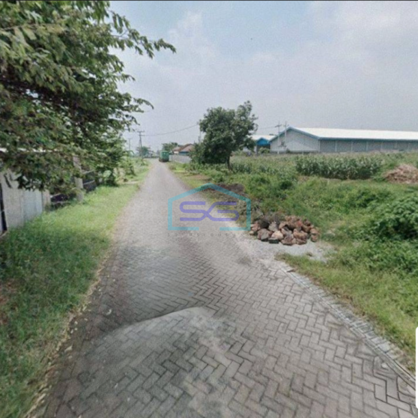 Dijual Tanah di Kawasan Industri Murah Cocok Untuk Pabrik Di Purwodadi Pasuruan LT 50000m2-2