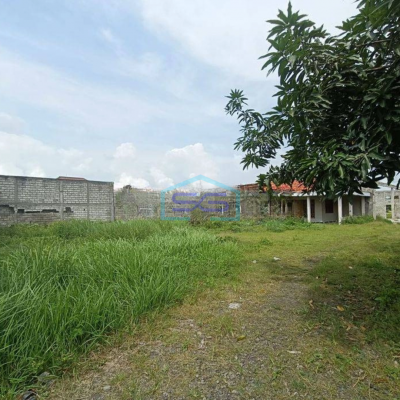 Dijual Tanah Murah Bonus Bangunan Gudang di Jl Raya Benjeng Gresik LT 12000m2