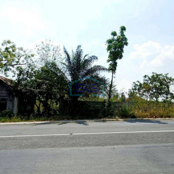 Dijual Murah Tanah Jl Raya Mantup Lamongan Cocok Untuk Pabrik Gudang Strategis LT 8000m2-2