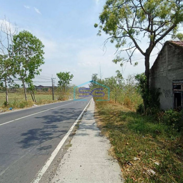 Dijual Murah Tanah Jl Raya Mantup Lamongan Cocok Untuk Pabrik Gudang Strategis LT 8000m2-1