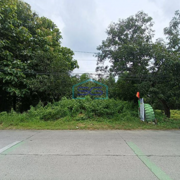 Dijual Tanah Murah Di Dawar Blandong Mojokerto LT 30000m2-2