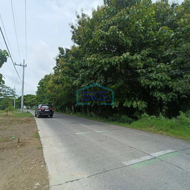 Dijual Tanah Murah Di Dawar Blandong Mojokerto LT 30000m2-1