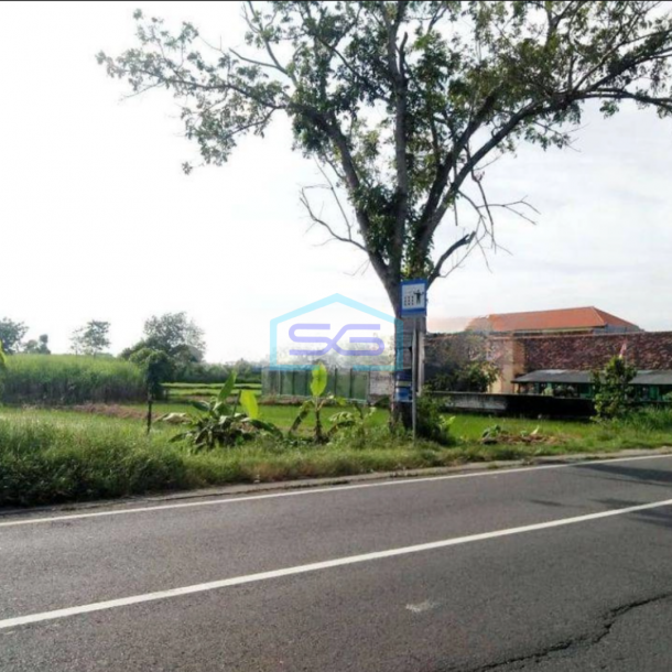 Dijual Murah Tanah Industri Di Jl Raya Mantup Lamongan Cocok Untuk Gudang Ruko Dan Pabrik LT 10 Ha-2