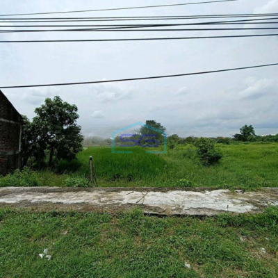 Dijual Tanah Murah Nol Jl Raya Besar Balongpanggang Gresik Cocok Untuk Pabrik Dan Gudang LT 4200m2