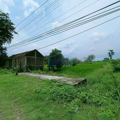 Dijual Tanah Murah Nol Jl Raya Besar Balongpanggang Gresik Cocok Untuk Pabrik Dan Gudang LT 4200m2