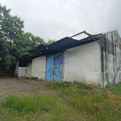 Dijual Gudang Murah Meriah Nol Jl Raya Cerme Benjeng Gresik Dekat Surabaya LT 1624m2