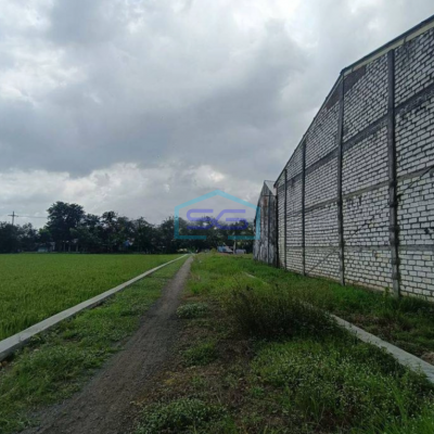 Dijual Gudang Murah Meriah Nol Jl Raya Cerme Benjeng Gresik Dekat Surabaya LT 1624m2-2