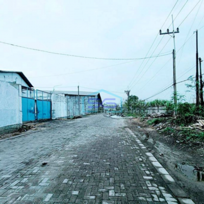 Disewakan Gudang Murah Sudah Renov Bagus Di Margomulyo Surabaya Bebas Banjir