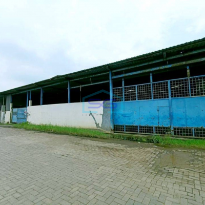 Dijual Murah Gudang Lokasi Strategis Kawasan Industri Margomulyo Surabaya Luas 6334m2