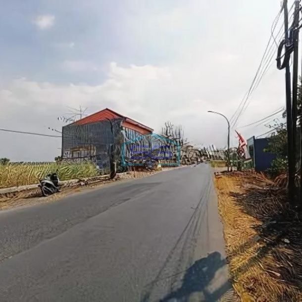 Dijual Tanah Komersial Nol Jl Raya Dekat Pasar Benjeng Dan SPBU Cocok Utk Ruko Gudang di Benjeng Gresik-3