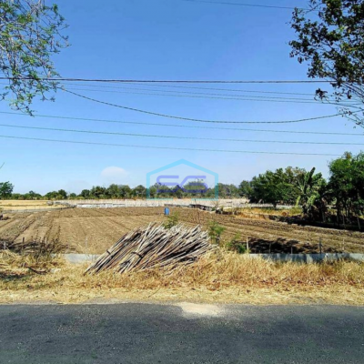 Dijual Tanah Super Murah Jl Raya Balongpanggang Gresik Cocok Untuk Pabrik Gudang LT 5400m2