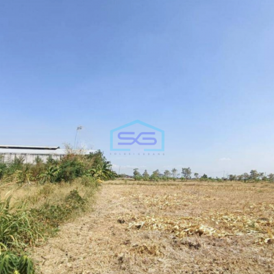 Dijual Tanah Murah Jln Raya Benjeng Gresik Akses Kontainer Cocok Untuk Pabrik Gudang Dekat Tol Surabaya LT 7000m2