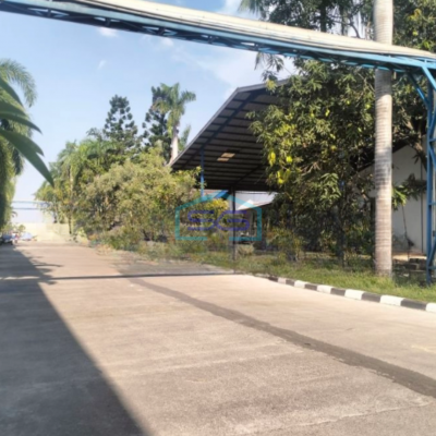 Disewakan Gudang di Cikande Serang Luas Bangunan 13000 m²-2