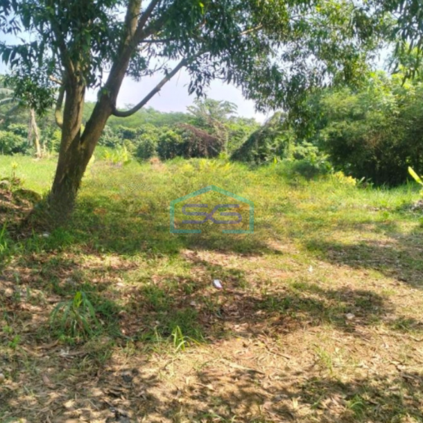 Dijual Tanah Luas 3710 m² di Cikupa Tangerang-2