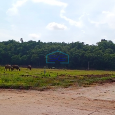 Dijual Murah Tanah Industri Luas 7000 m² di Cikupa Tangerang