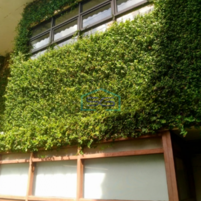 Disewakan Ruko Kantor di Kebayoran Baru Jakarta Selatan LB 600m2