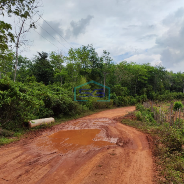 Dijual Tanah di Sembawa Banyuasin Sumatera Selatan Luas 140.000m2-4