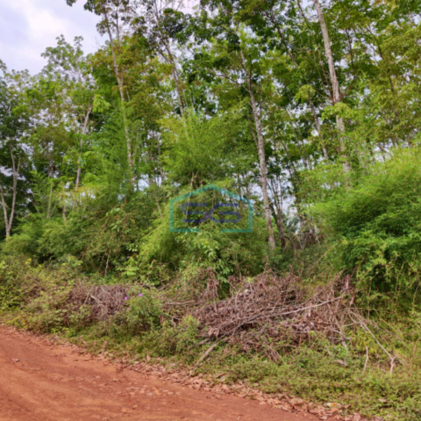 Dijual Tanah di Sembawa Banyuasin Sumatera Selatan Luas 140.000m2-1
