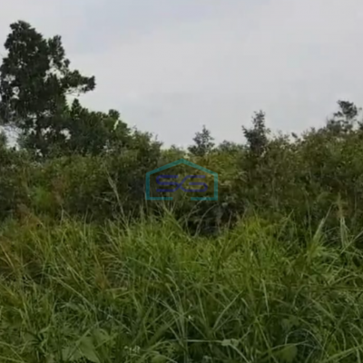 Dijual Tanah Murah Sematang Borang di Lokasi Strategis Palembang Luas 4556m2