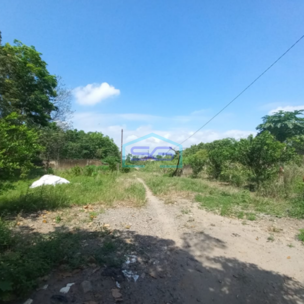 Dijual Tanah Jalan Lintas Palembang Indralaya Strategis Luas 4680m2 Sumatera Selatan-1