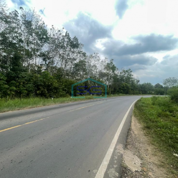 Dijual Tanah Lintas Sumatera Selatan Luas 90 HA di Kawasan Berkembang-3