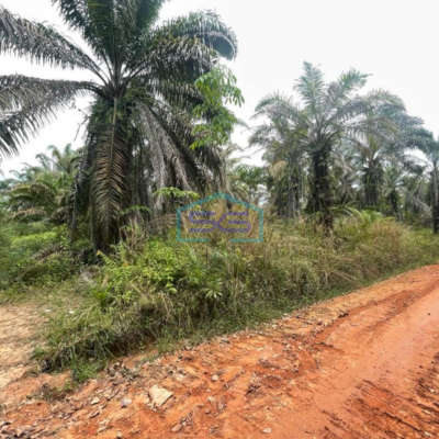 Dijual Tanah Lintas Sumatera Selatan Luas 90 HA di Kawasan Berkembang