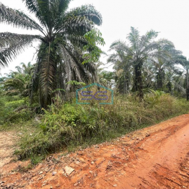 Dijual Tanah Lintas Sumatera Selatan Luas 90 HA di Kawasan Berkembang-2