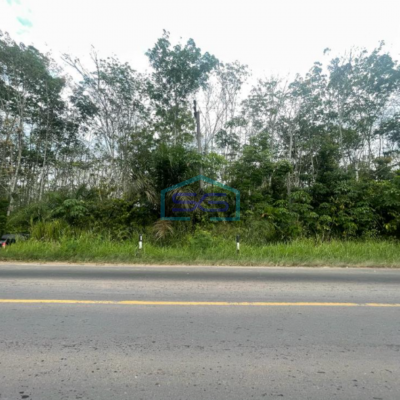 Dijual Tanah Lintas Sumatera Selatan Luas 90 HA di Kawasan Berkembang