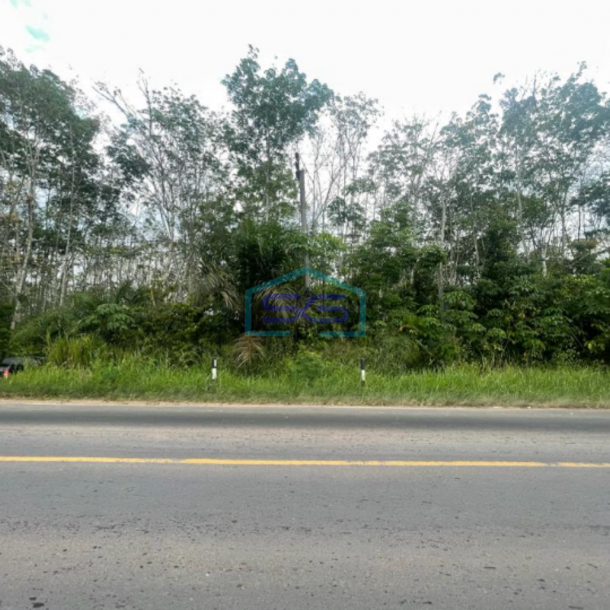 Dijual Tanah Lintas Sumatera Selatan Luas 90 HA di Kawasan Berkembang-1