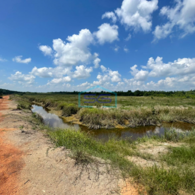 Dijual Tanah Jalan Tanjung Api Api Km 45 Palembang Luas Tanah 15.000m2