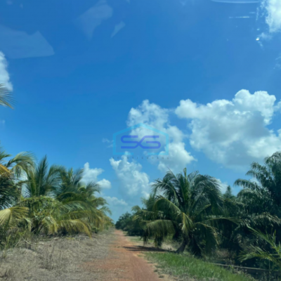 Dijual Tanah Jalan Tanjung Api Api Km 45 Palembang Luas Tanah 15.000m2