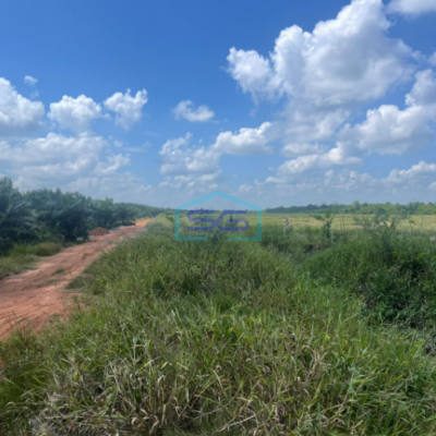 Dijual Tanah Jalan Tanjung Api Api Km 45 Palembang Luas Tanah 15.000m2