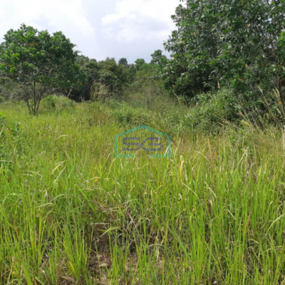 Dijual Tanah Kosong Jalan Meritai Kabupaten Banyuasin Jakabaring Palembang LT 5670m2