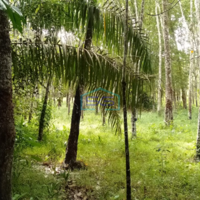 Dijual Tanah Plus 2 Unit Bangunan di Pulau Harapan Km 28 Jalan Palembang LT 17000m2